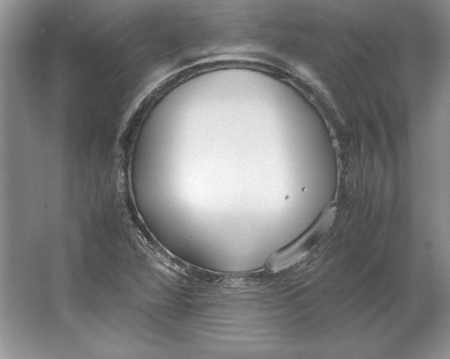 X0000064751360200603031722