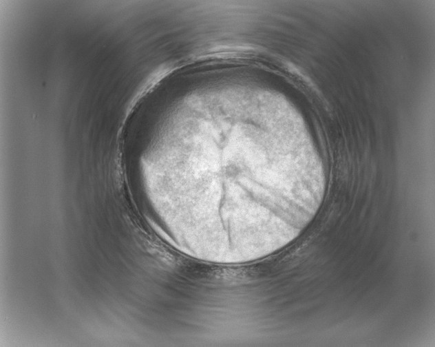 X0000064751362200603031722