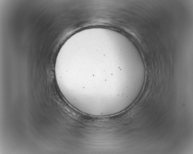 X0000064751363200603031722