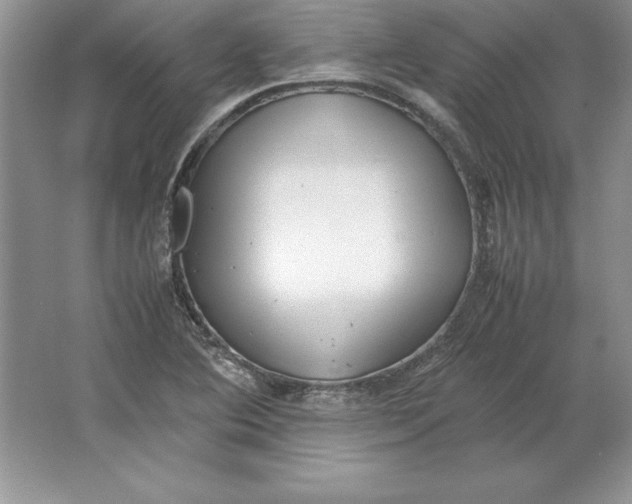 X0000064751364200603031722