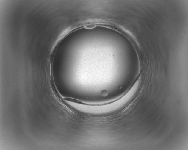 X0000064751365200603031722