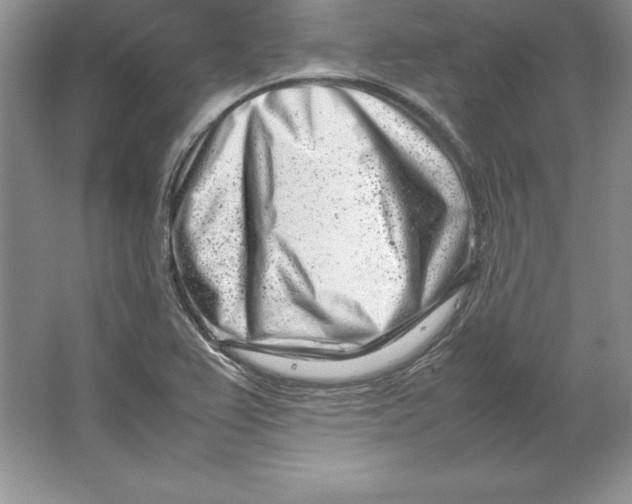 X0000064751367200603031722