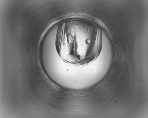 X0000064751368200603031722