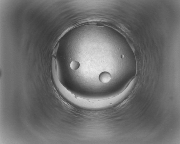 X0000064751369200603031722