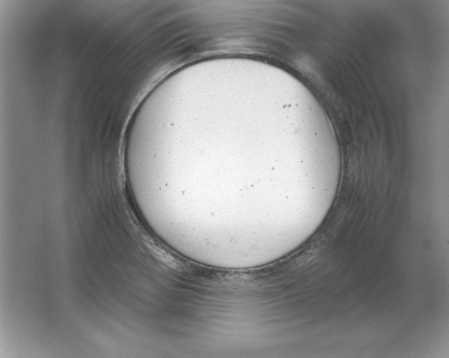 X0000064751370200603031722