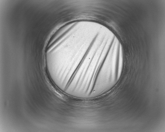 X0000064751371200603031722