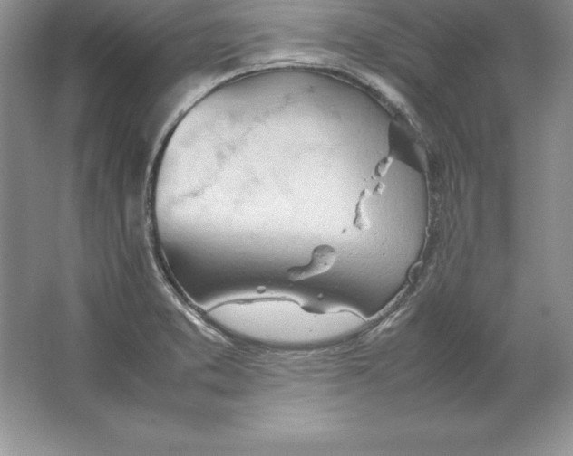 X0000064751373200603031722