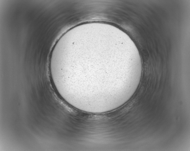 X0000064751374200603031722