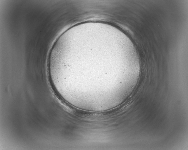 X0000064751375200603031722