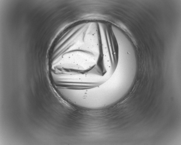 X0000064751376200603031722