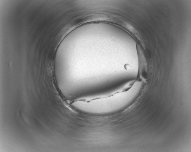 X0000064751377200603031722