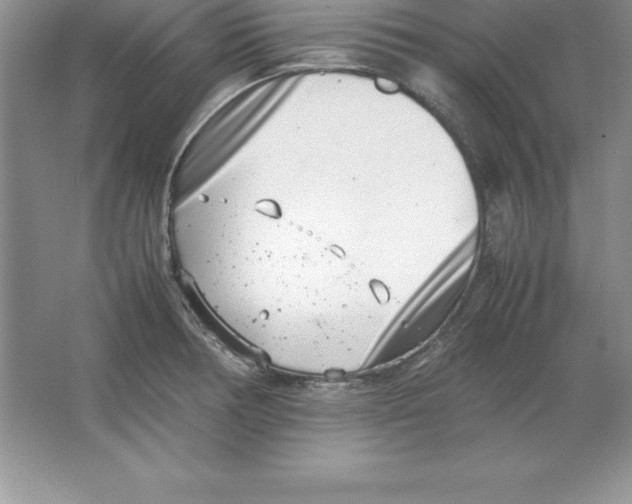 X0000064751378200603031722