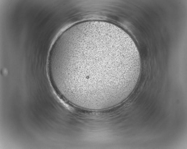 X0000064751379200603031722