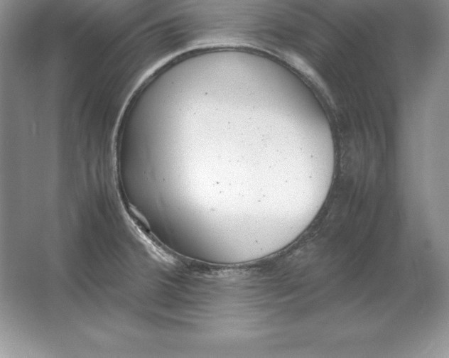 X0000064751380200603031722