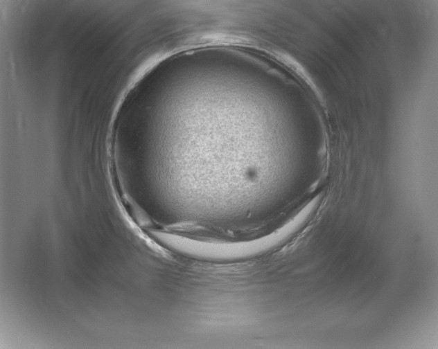 X0000064751381200603031722