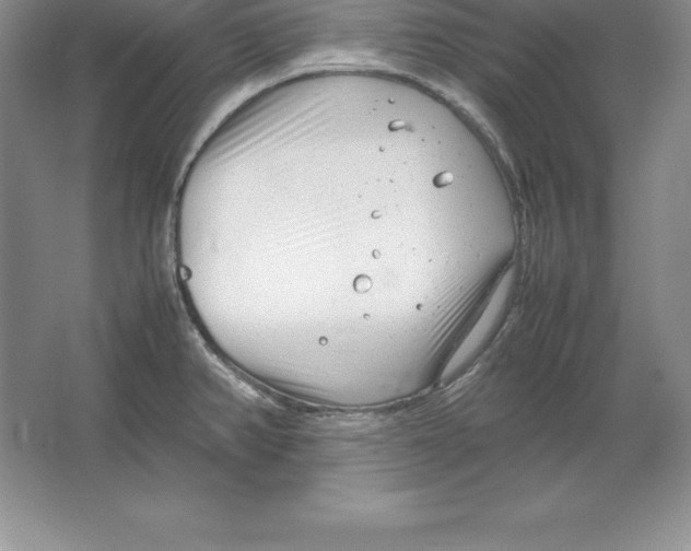 X0000064751382200603031722