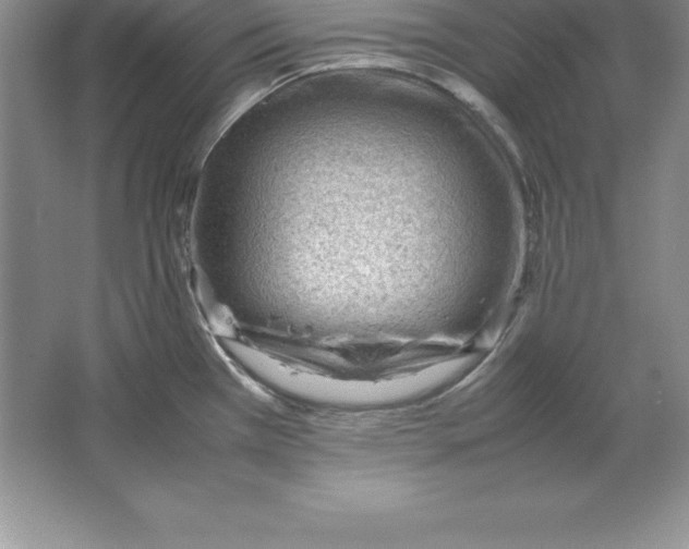 X0000064751385200603031722