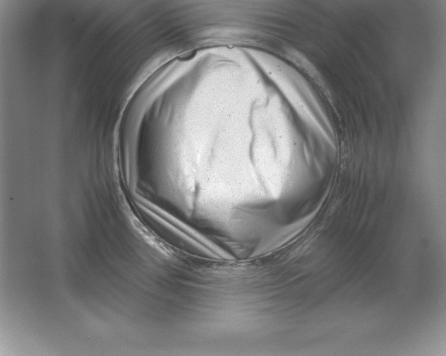 X0000064751386200603031722