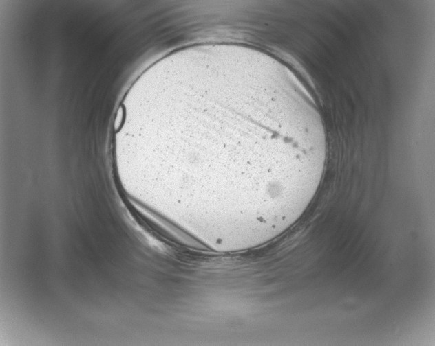 X0000064751387200603031722