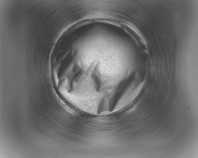 X0000064751388200603031722