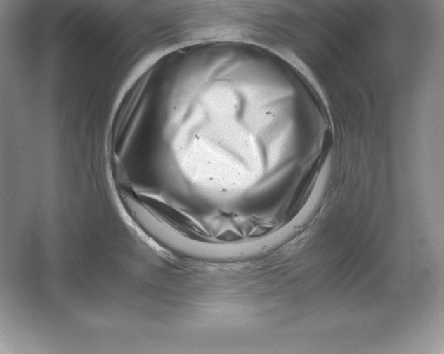 X0000064751389200603031722