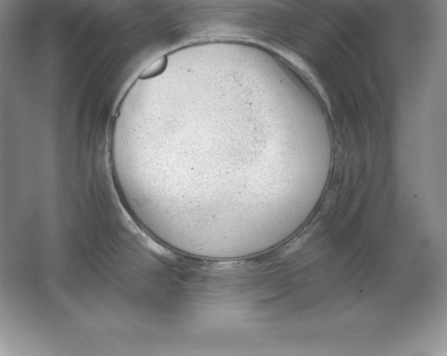 X0000064751390200603031722