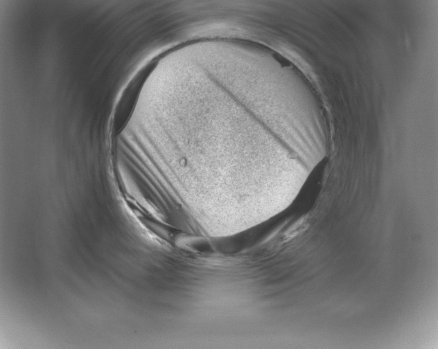 X0000064751392200603031722