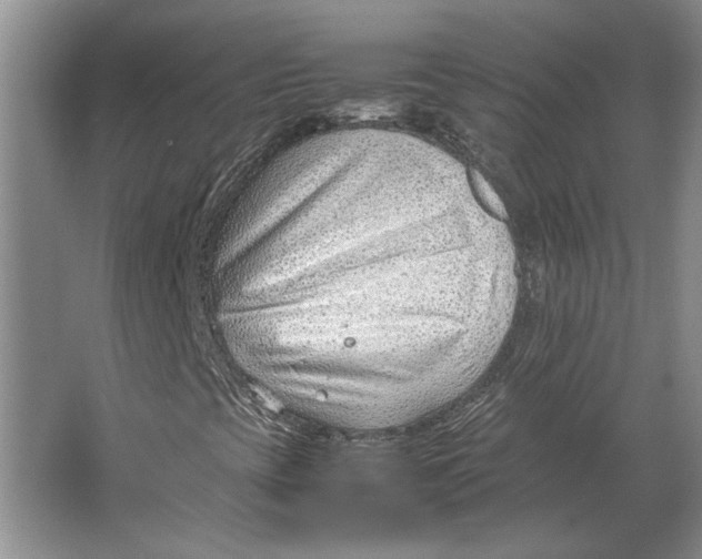 X0000064751393200603031721