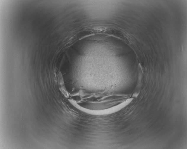 X0000064751394200603031721