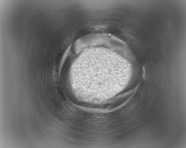 X0000064751395200603031721