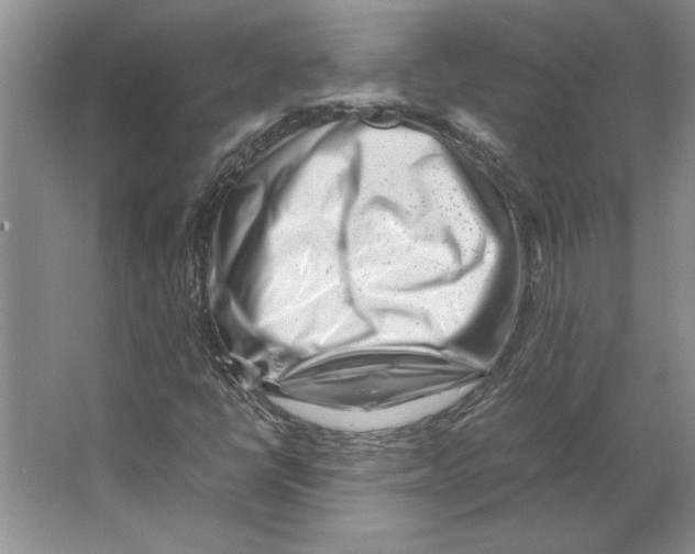 X0000064751398200603031721