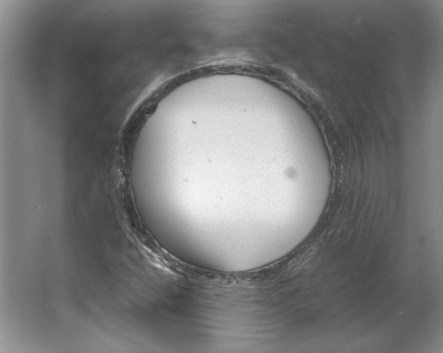 X0000064751400200603031721