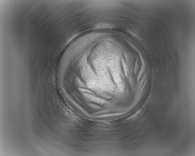 X0000064751401200603031721