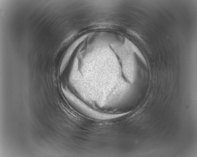 X0000064751403200603031721