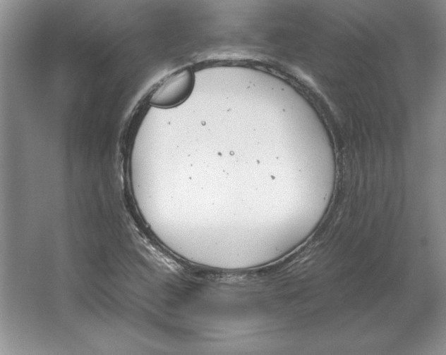 X0000064751408200603031721