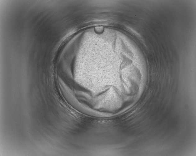 X0000064751411200603031721