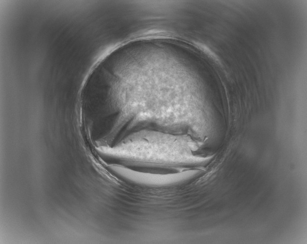 X0000064751413200603031721