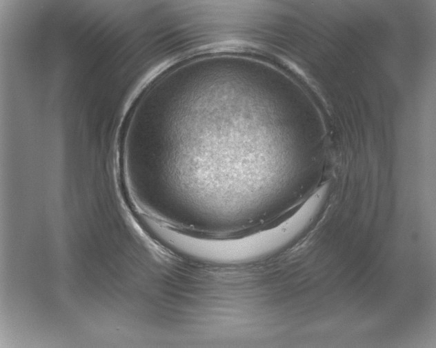 X0000064751418200603031722