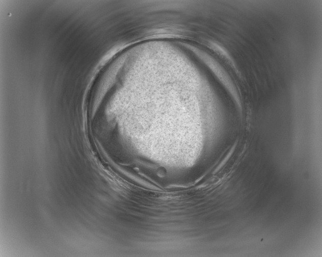 X0000064751419200603031722