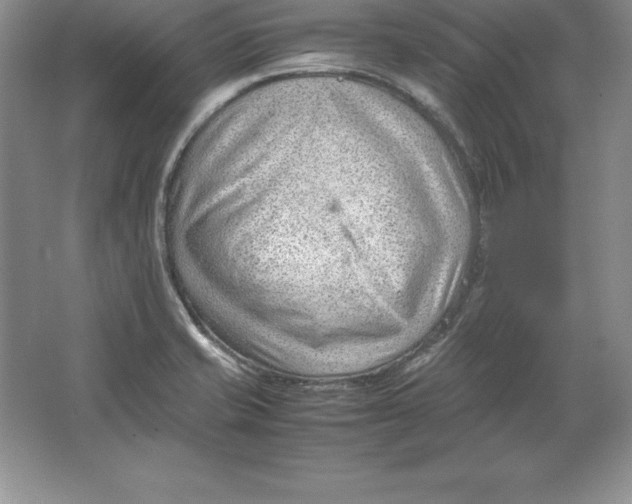 X0000064751421200603031722