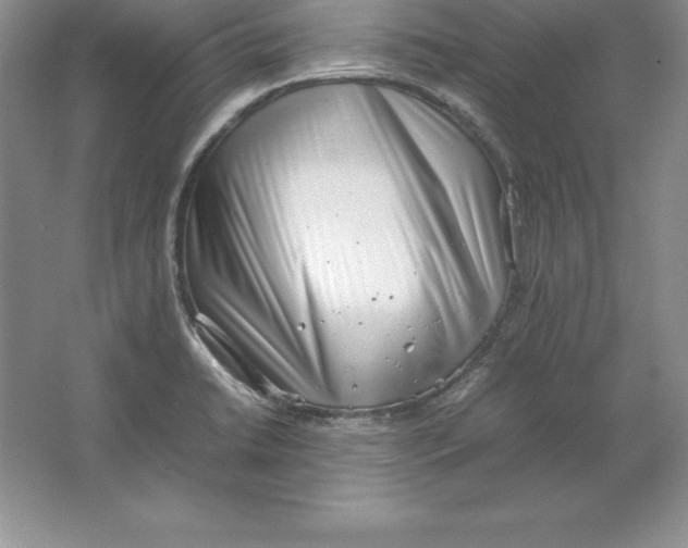 X0000064751422200603031722