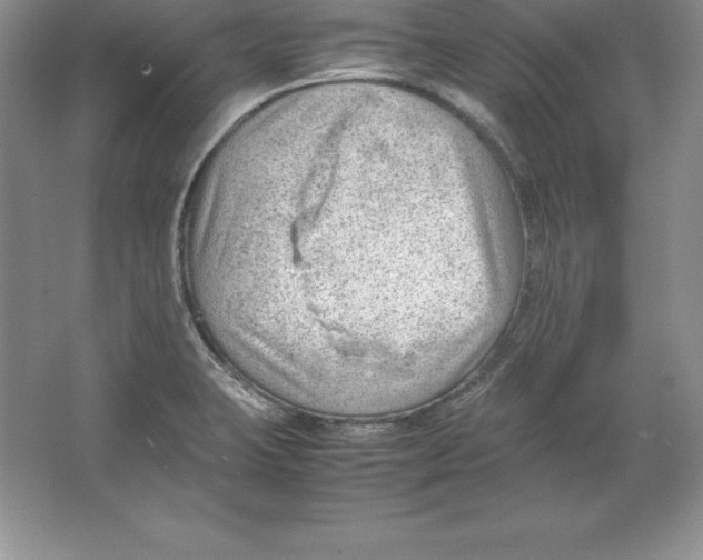 X0000064751423200603031722