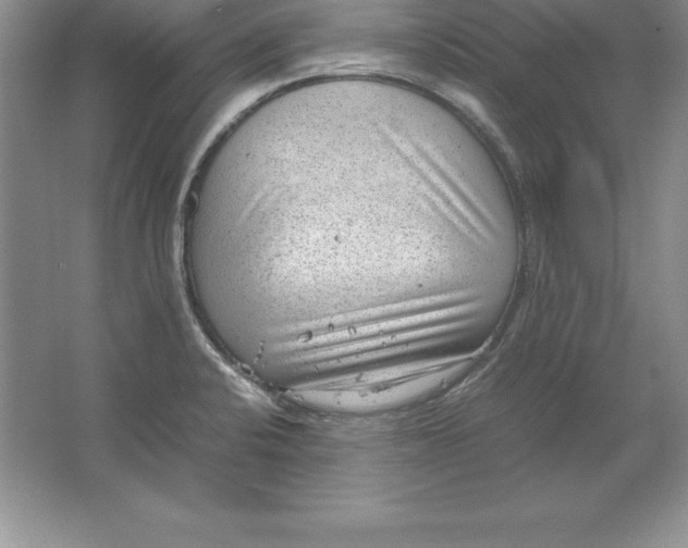 X0000064751424200603031722