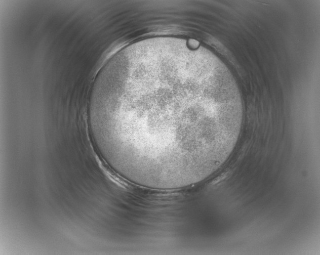 X0000064751425200603031722