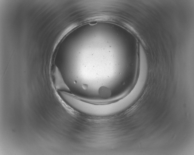 X0000064751426200603031722