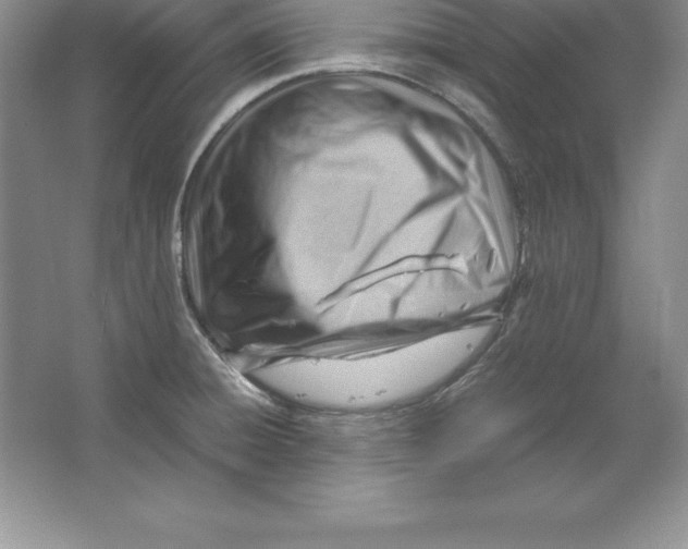 X0000064751428200603031722