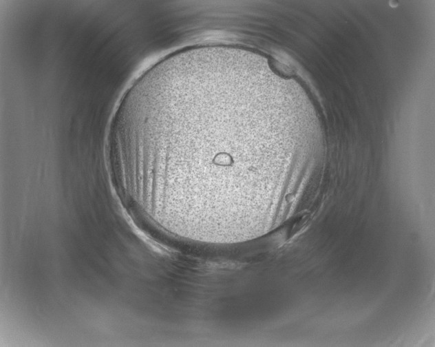 X0000064751429200603031722