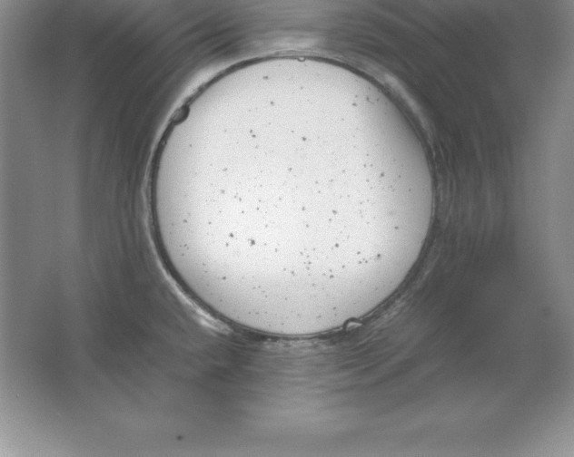 X0000064751432200603031722