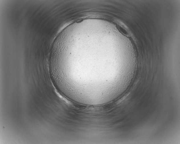 X0000064751433200603031722