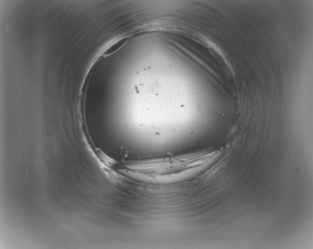 X0000064751434200603031722